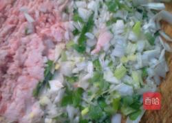 白萝卜馅饺子的做法图解4