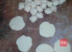 白萝卜馅饺子的做法图解13
