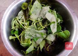蒸地瓜叶的做法图解1