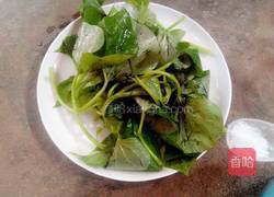 蒸地瓜叶的做法图解4