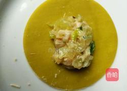 彩色饺子的做法图解9