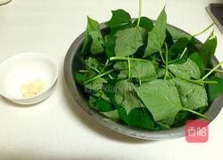 炒红薯叶的做法图解1