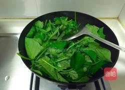 炒红薯叶的做法图解3