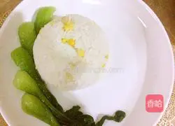 Illustration of Braised Pork Rice 15