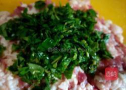 马齿苋饺子的做法图解4