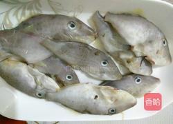 干炸扒皮鱼的做法图解1