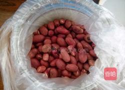 红油抄手的做法图解6