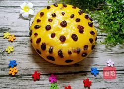 南瓜发糕的做法图解8