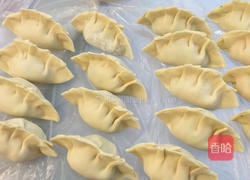 西红柿鸡蛋饺子的做法图解8