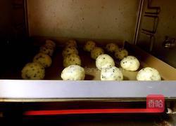 麻薯面包的做法图解6