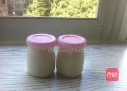 酸奶的做法图解5