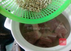 冬瓜薏米猪骨汤的做法图解4