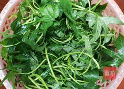 蕃薯叶炒酸笋的做法图解1