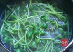 凉拌豆苗的做法图解2