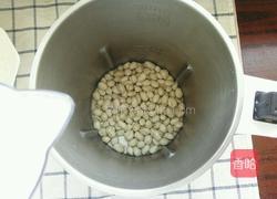 花生牛奶汤的做法图解4
