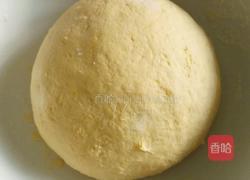 南瓜馍馍的做法图解3