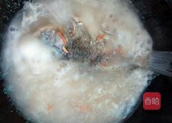 西红柿鲫鱼汤的做法图解4