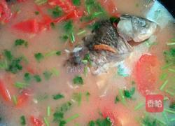 西红柿鲫鱼汤的做法图解5