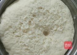 红萝卜馅包子的做法图解5