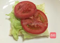 美式总汇三明治的做法图解9