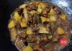 土豆红烧鸡的做法图解10