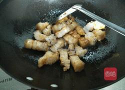 胡萝卜土豆炖肉的做法图解5