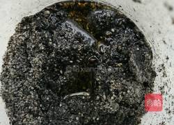 自制芝麻酱的做法图解6