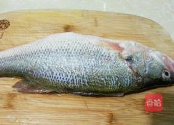 香辣水煮鱼片的做法图解1