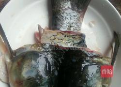 水煮豆腐鱼的做法图解3