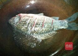 葱烧鲫鱼的做法图解3