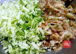 圆白菜包子的做法图解5
