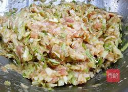 圆白菜包子的做法图解6