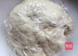 掉渣烧饼的做法图解4