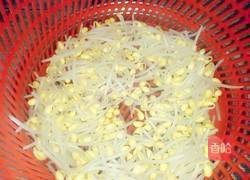 黄豆芽炒咸鱼的做法图解3