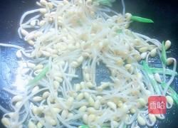 黄豆芽炒咸鱼的做法图解8