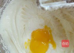 原味芝士蛋糕的做法图解2