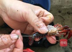 秘制香辣小龙虾的做法图解1