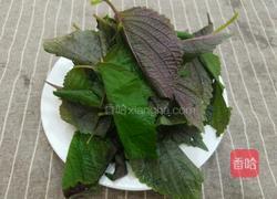 紫苏叶茄子炒豆角的做法图解2