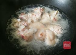 玉米炖猪蹄的做法图解3