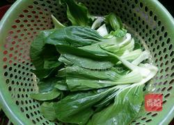香菇油菜的做法图解2
