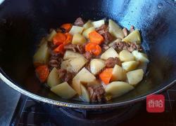 土豆烧鸭腿的做法图解9