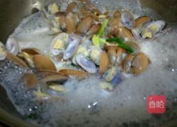 水煮蚬子的做法图解8
