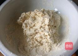 素菜包子的做法图解2