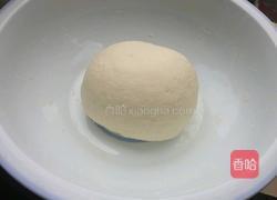 素菜包子的做法图解3