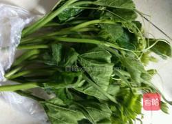 上汤南瓜苗的做法图解1