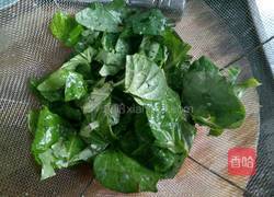 蒸地瓜叶的做法图解3