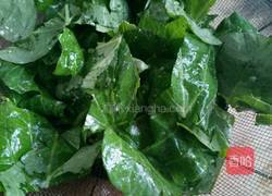 蒸地瓜叶的做法图解4