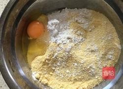 马齿苋窝窝头的做法图解1