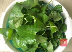 炒红薯叶的做法图解3