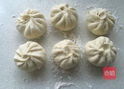 韭菜猪肉水煎包的做法图解10